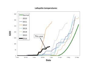 Showing Lafayette 2016 tempatures are higher than all previous years except 2012
