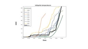 Temperature graph 