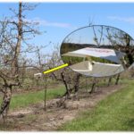 Figure 1. Oriental fruit moth monitoring trap in ‘Gold Rush’ block at Meigs Purdue Agricultural Center (Lafayette, IN). Photo: E. Y. Long