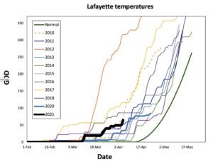Lafayette temperatures 