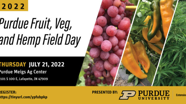 Purdue Fruit, Veg & Hemp Field Day  