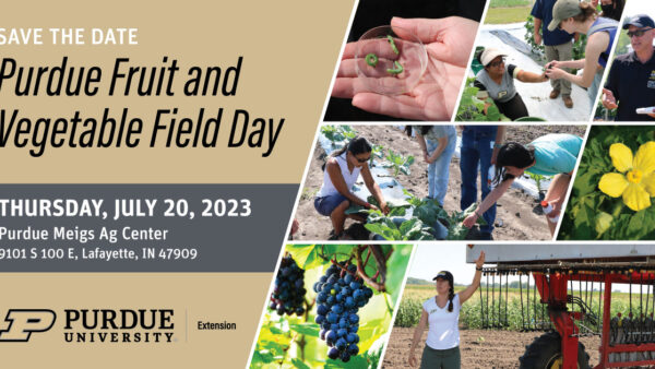 Purdue Fruit and Vegetable Field Day –  July 20, 2023