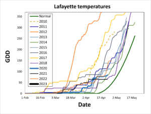 Lafayette temperatures graph 
