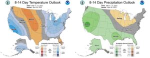 Figure 7: The CPC’s 8-14-day temperature and precipitation outlooks, valid for May 4-10, 2023.