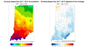 Figure 2: Total Accumulated Indiana Modified Growing Degree Days (MGDDs) April 1-May 10, 2023 (left) and Total Accumulated MGDDs represented as the departure from the 1991-2020 climatological normal (right). 