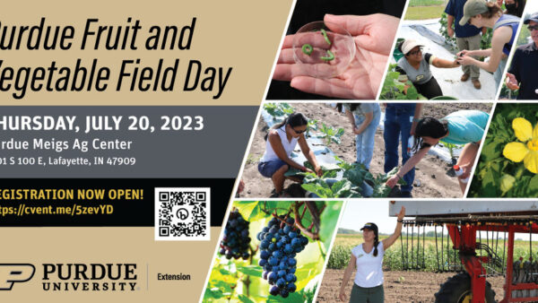 Purdue Fruit & Vegetable Field Day 2023