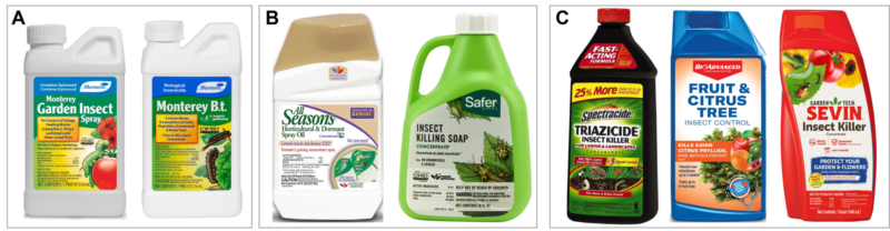 Choosing Insecticides To Manage Insect Pests In Your Homebackyard