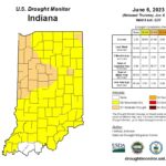 Figure 3. U.S. Drought Monitor for Indiana as of June 6, 2022. Source: https://droughtmonitor.unl.edu/CurrentMap/StateDroughtMonitor.aspx?IN