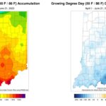 Figure 2: Total Accumulated Indiana Modified Growing Degree Days (MGDDs) April 1-June 21, 2023 (left) and Total Accumulated MGDDs represented as the departure from the 1991-2020 climatological normal (right).