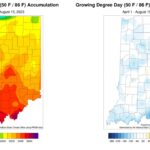 Figure 3: Total Accumulated Indiana Modified Growing Degree Days (MGDDs) April 1-August 15, 2023 (left) and Total Accumulated MGDDs represented as the departure from the 1991-2020 climatological normal (right).