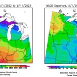 Figure 2: Total Accumulated Midwest Modified Growing Degree Days (MGDDs) May 1-September 11, 2023 (left) and Total Accumulated MGDDs represented as the departure from the 1991-2020 climatological normal (right).
