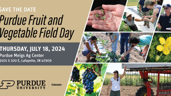 Purdue Fruit and Vegetable Field Day 2024