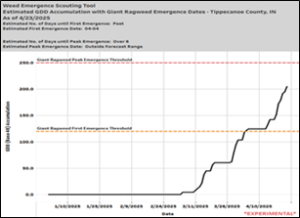 Weed emergence tool 