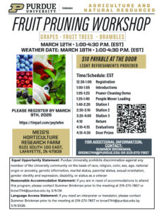 fruit pruning flyer decorative 