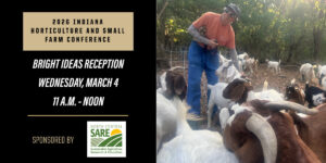 Bright Ideas reception flyer 