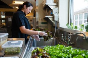 Woman cleaning lettuce at a sanitation workshop