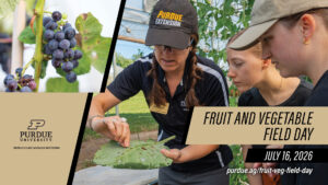 Extension specialist Laura Ingwell shows attendees the effects of pest damage on crops.